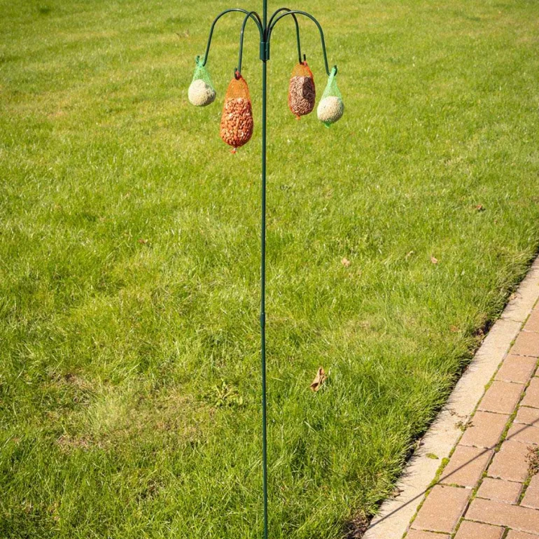 Station d'alimentation pour oiseaux à planter