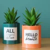 Succulentes artificielles dans pots à message 17 cm (Lot de 2)
