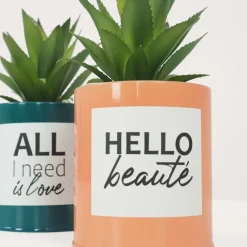 Succulentes artificielles dans pots à message 17 cm (Lot de 2)