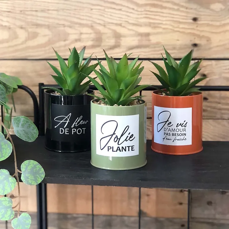 Succulentes artificielles dans pots colorés 17 cm (Lot de 3)