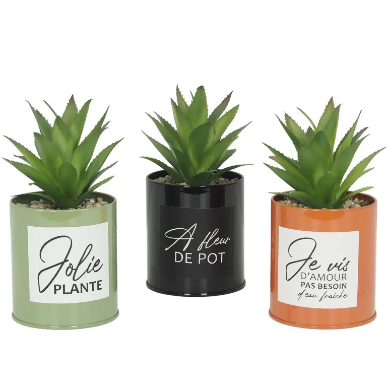 Succulentes artificielles dans pots colorés 17 cm (Lot de 3)