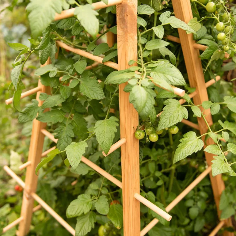 Support en bois de pin pour plantes 4 piquets (Pyramide)