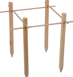 Support en bois de pin pour plantes Vegetable garden (50 x 50 cm)