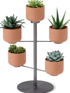 Support à plantes avec 5 pots Terrapotta