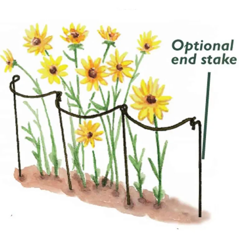 Support à plantes courbé en acier (Lot de 6)