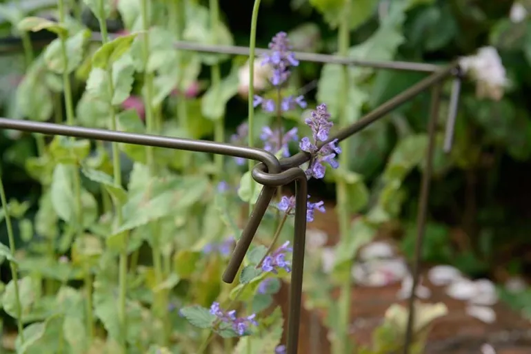 Support à plantes en acier (Lot de 6) (60 cm)