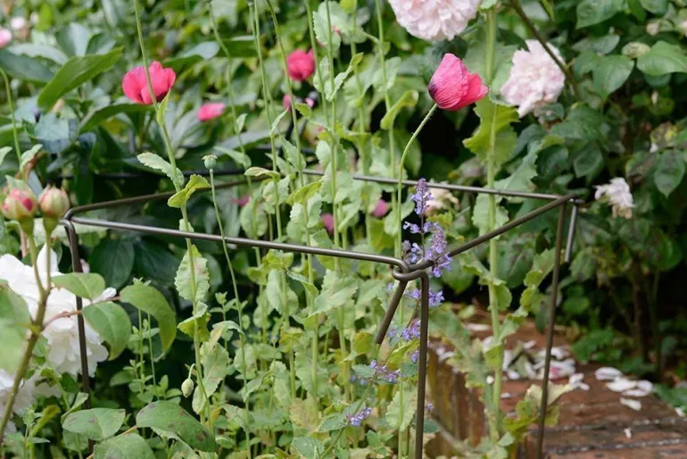Support à plantes en acier (Lot de 6) (75 cm)