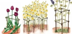 Support à plantes en acier (Lot de 6) (75 cm)