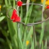 Support à plantes rond en acier 20 cm (Lot de 3)