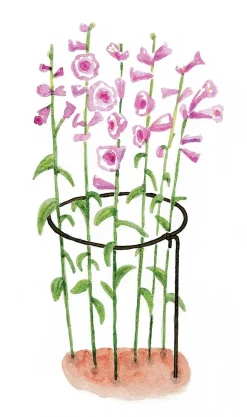 Support à plantes rond en acier 20 cm (Lot de 3)