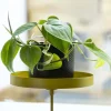 Support à plantes rond à fixer hauteur réglable doré (24.6 x 18 cm)