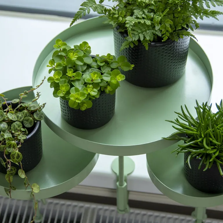 Support à plantes rond à fixer hauteur réglable vert (20.9 x 14 cm)