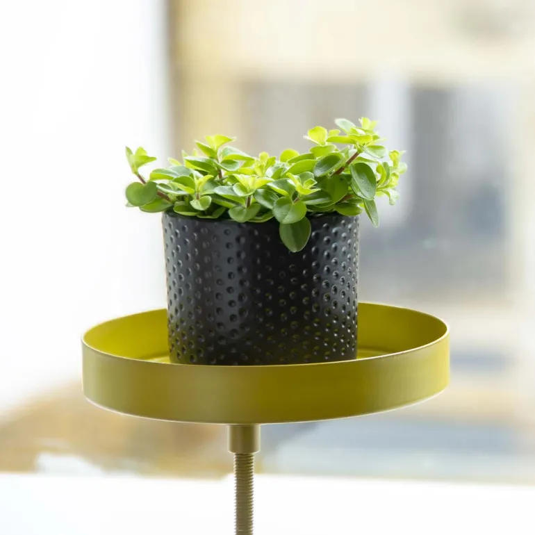 Support à plantes rond à fixer hauteur réglable doré (20.9 x 14 cm)