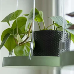 Support à plantes rond à suspendre vert (Diamètre de 24 cm)