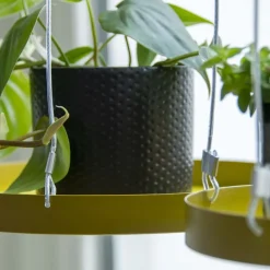 Support à plantes rond à suspendre doré (Diamètre de 24 cm)