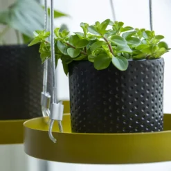 Support à plantes rond à suspendre doré (Diamètre de 14 cm)