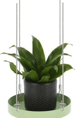 Support à plantes rond à suspendre vert (Diamètre de 14 cm)
