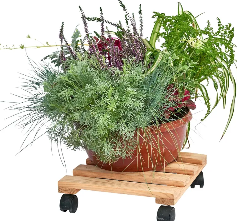 Support pour plantes à roulettes en pin brut (Carré)