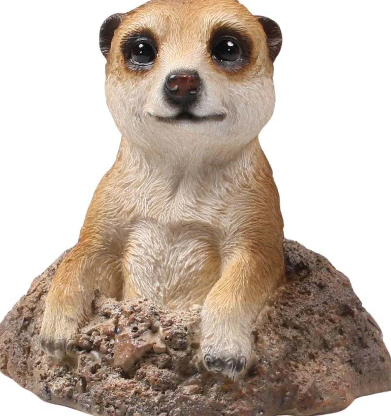 Suricate sortant de terre en résine