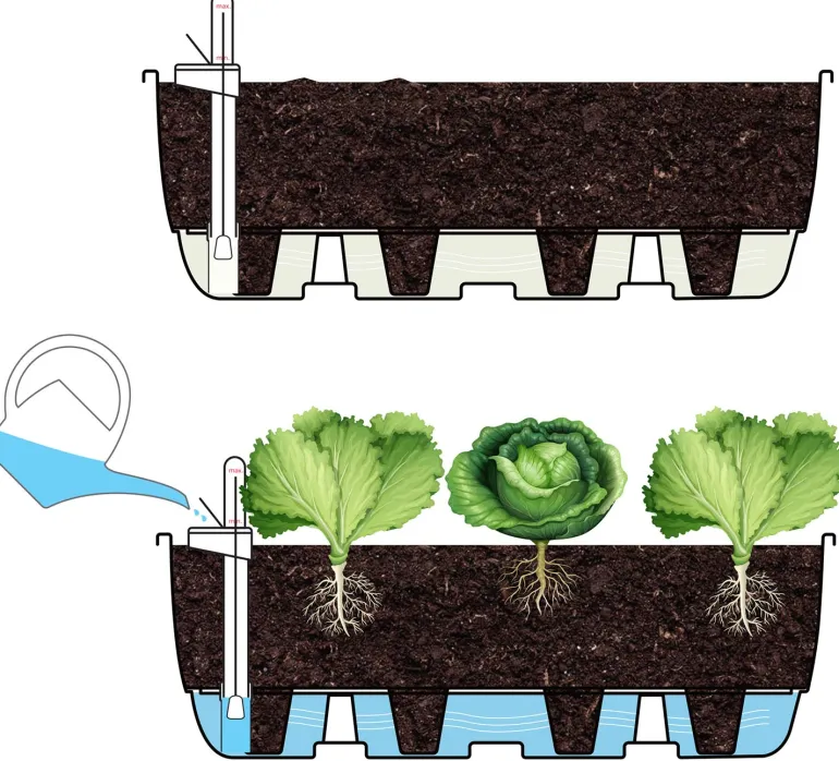 Système d'auto-arrosage pour potager