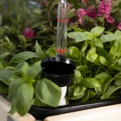 Système d'auto-arrosage pour potager