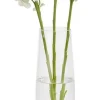 Vase design Loop